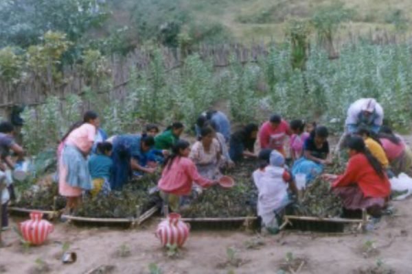 Atención en Salud Guatemala SIAS