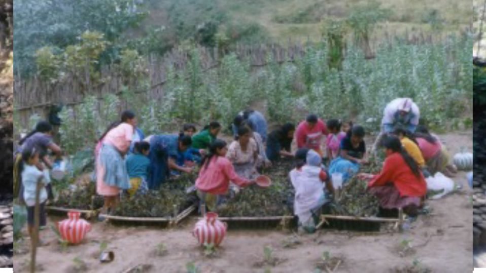Atención en Salud Guatemala SIAS