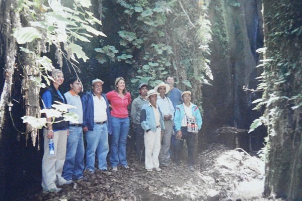 Banco de Semillas Forestales Guatemala