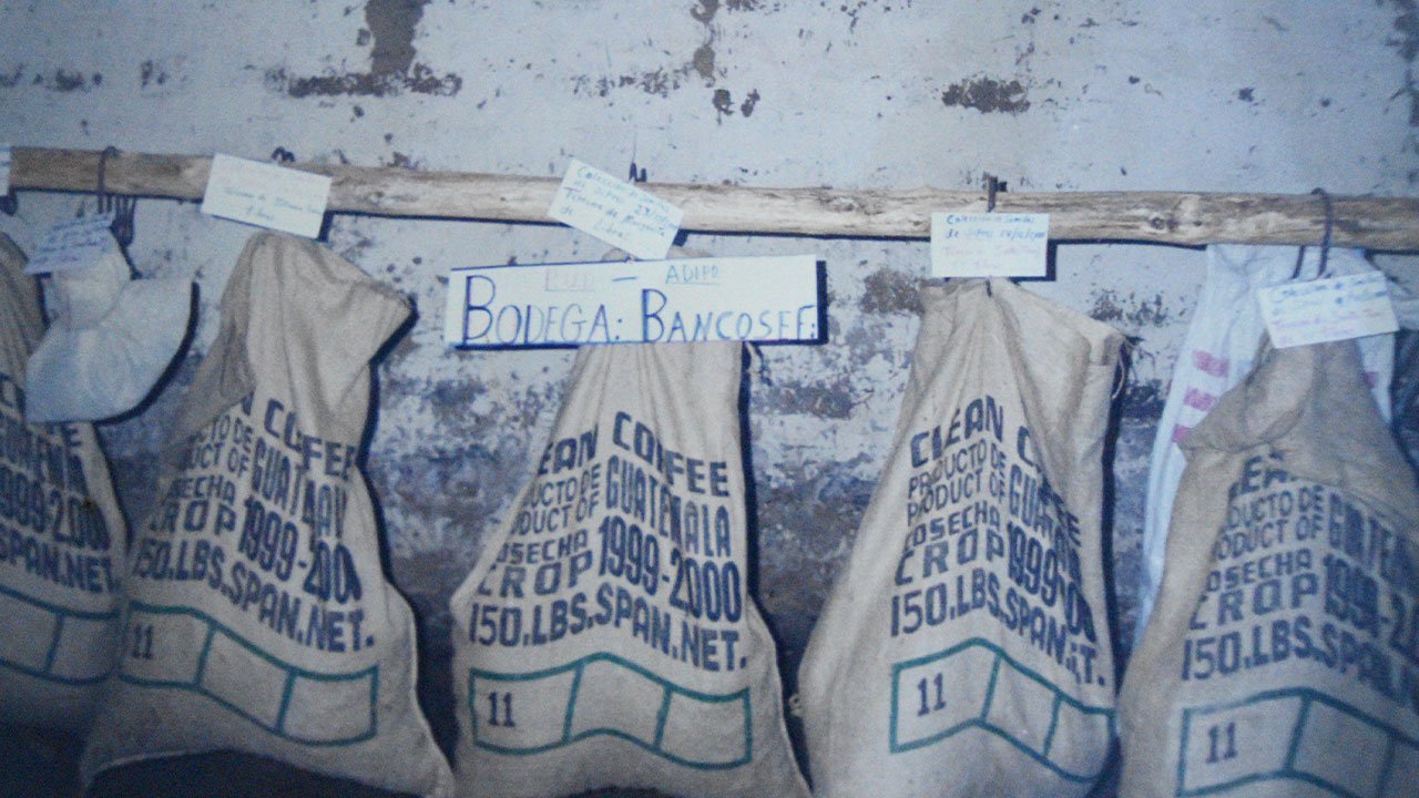 Donar-Banco-De-Semillas-Agroforestales