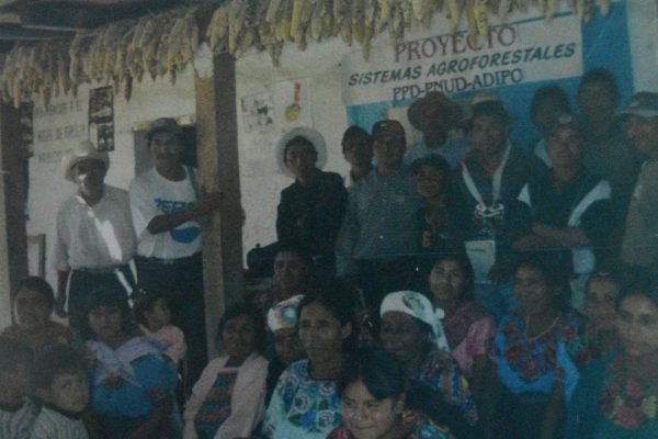 Sistemas Agroforestales Guatemala