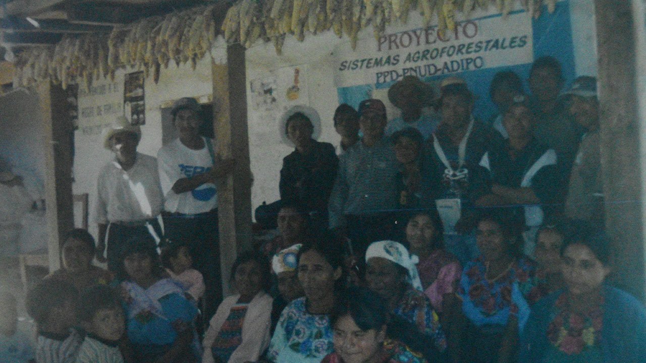 Sistemas Agroforestales Guatemala