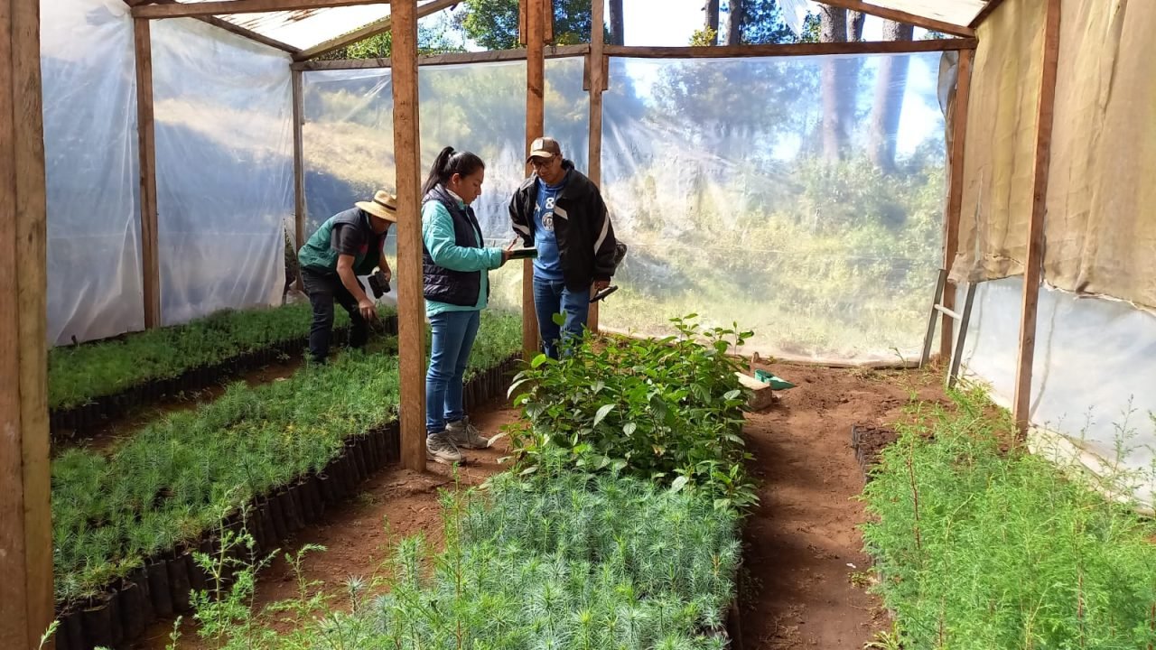 Proyectos Guatemala