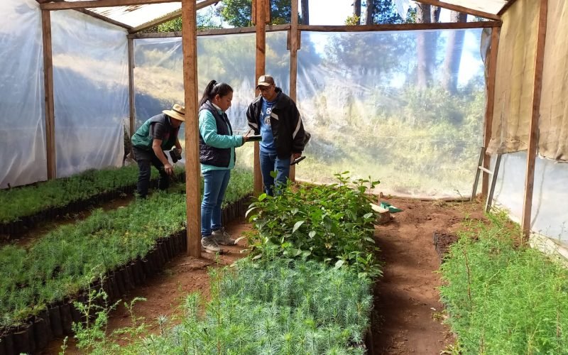 Proyectos Guatemala