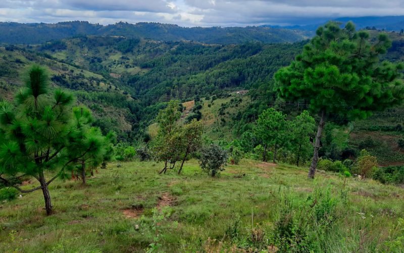 Areas-Potenciales-Microcuenta-Tzunama