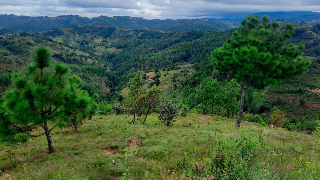 Areas-Potenciales-Microcuenta-Tzunama