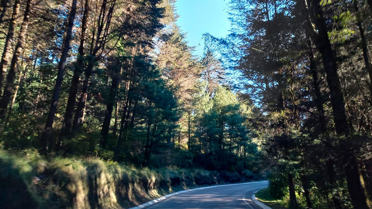 Protección-de-bosques-microcuencas-Tzunama